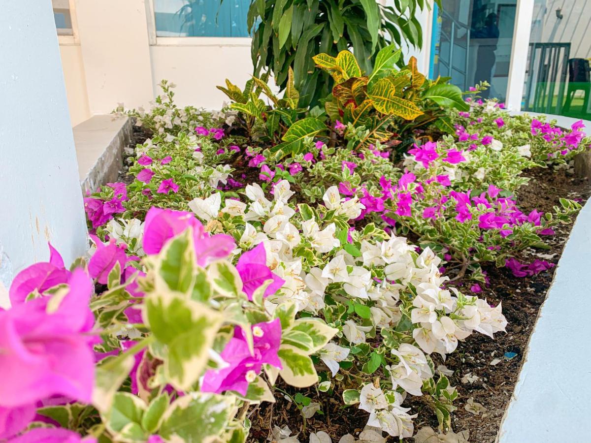 Hotel Abi Inn By Geh Suites Cartagena Εξωτερικό φωτογραφία